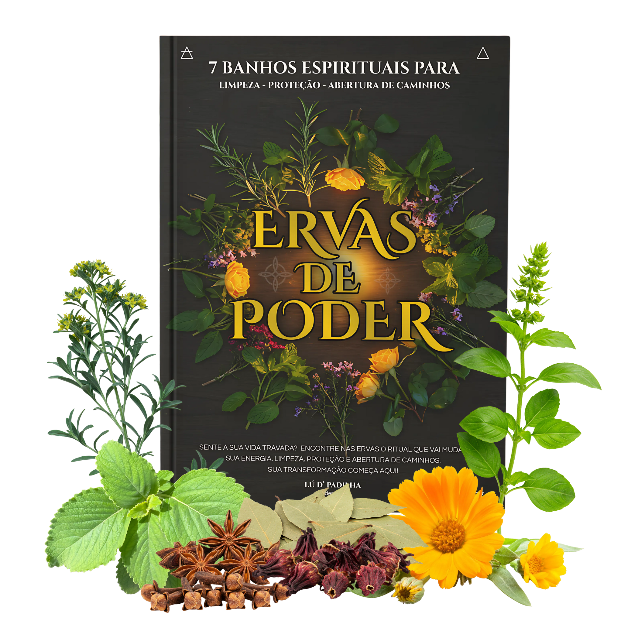 Ervas de Poder